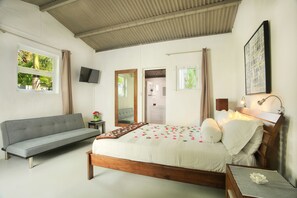 Luxury Room | Living area | Books, video library, offices