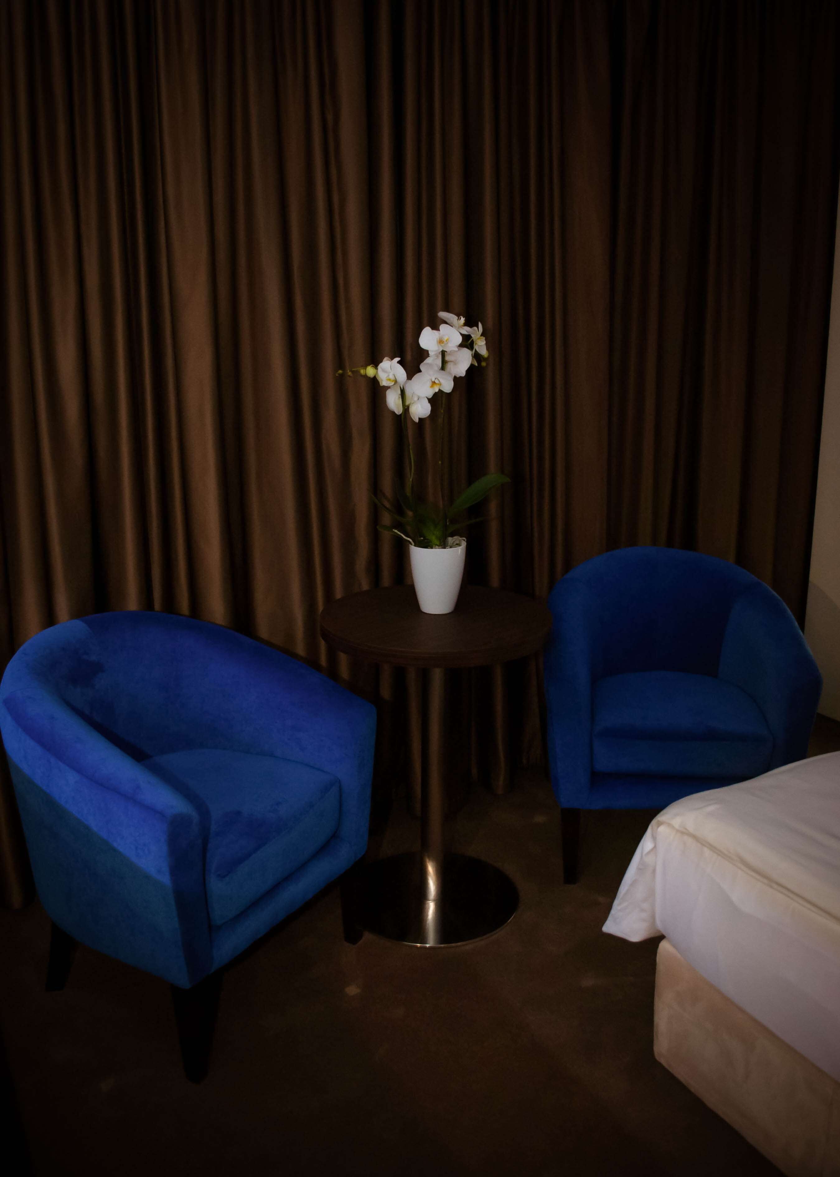 Una habitación con dos sillones azules, una mesita redonda con un jarrón blanco lleno de flores blancas, y una cama con ropa de cama blanca.