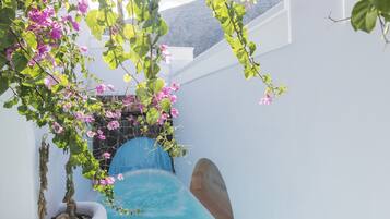 Guests can enjoy a serene water feature with a clear water slide and shallow pool surrounded by lush greenery and vibrant flowers.