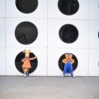 Dos mascotas posando frente a un edificio con ventanas circulares.