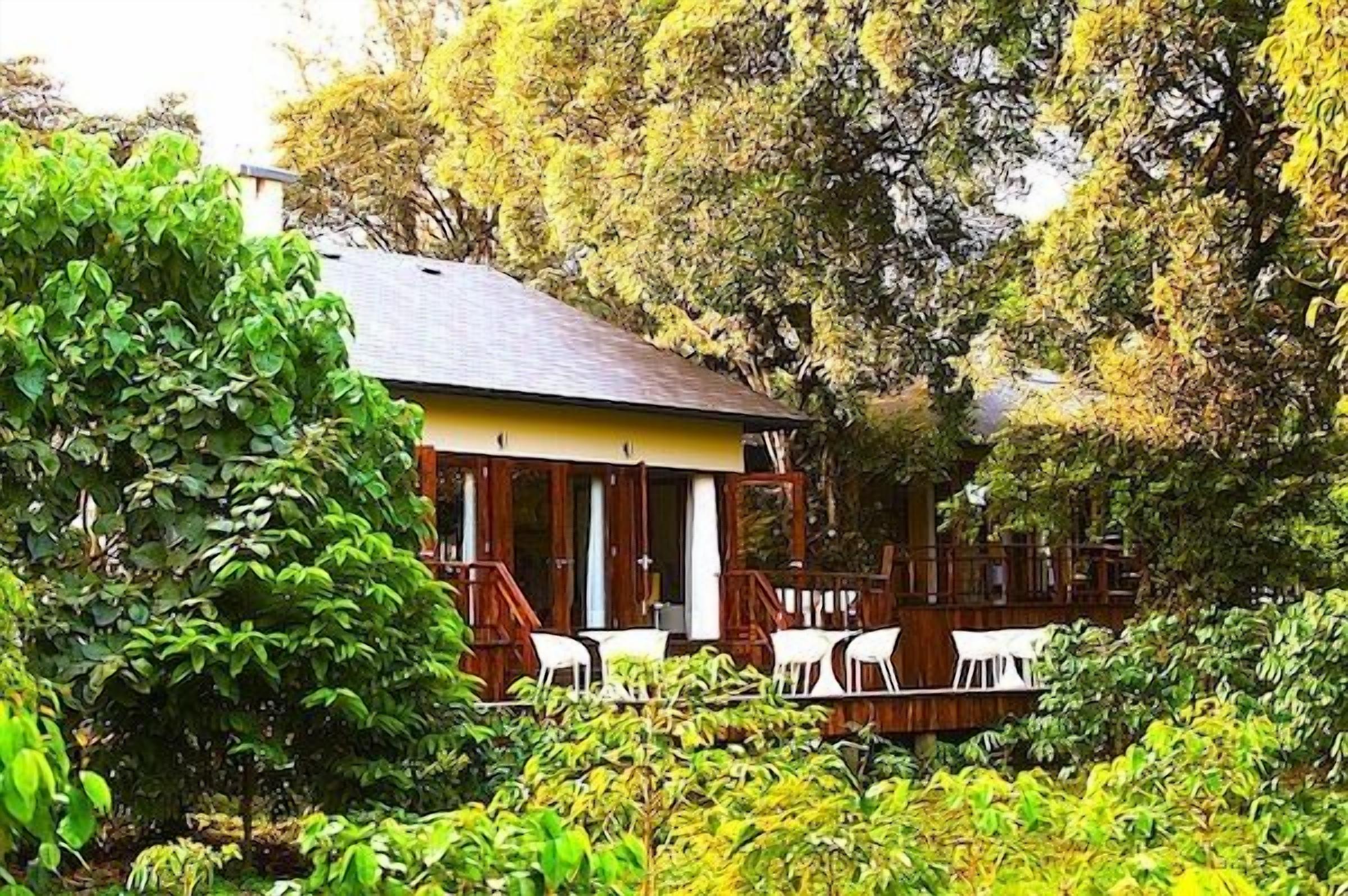 A wooden cabin with a porch, surrounded by lush greenery.