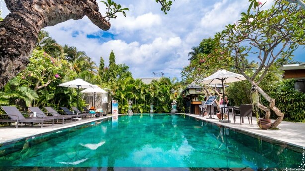 A clear blue pool with lounge chairs and umbrellas, surrounded by lush greenery and a large tree trunk. - New Pondok Sara Villas (Seminyak)