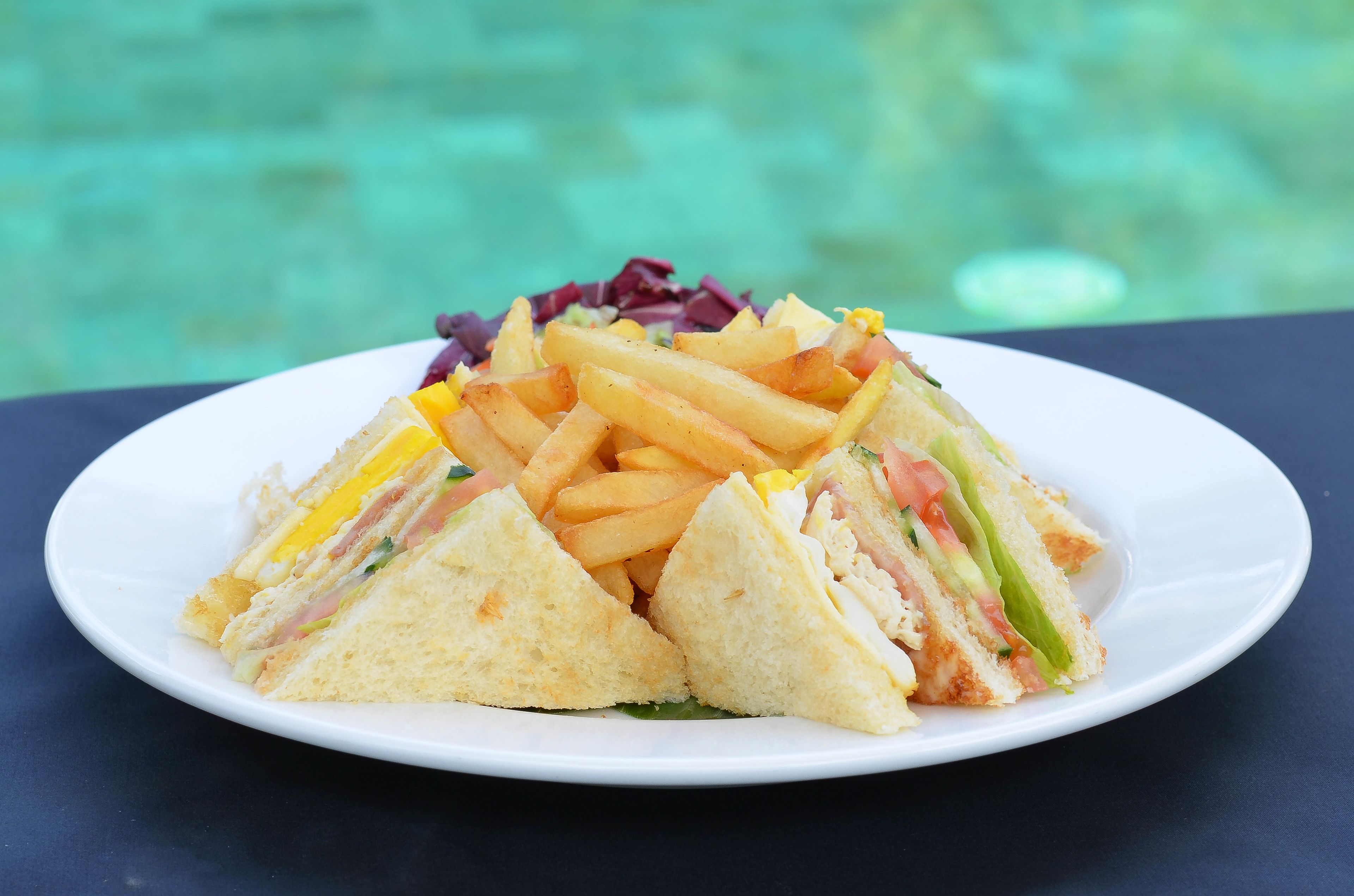 A plate of food with a sandwich and fries on a white plate.