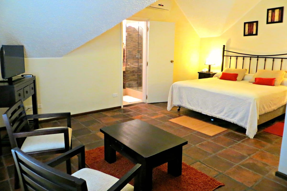 A bedroom with a bed, a desk, a chair, a TV, and a bathroom door.