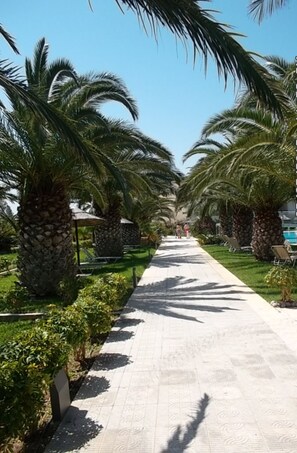 Vista desde la propiedad