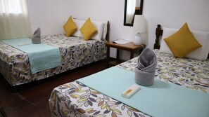 Habitación ejecutiva | Escritorio y wifi gratis