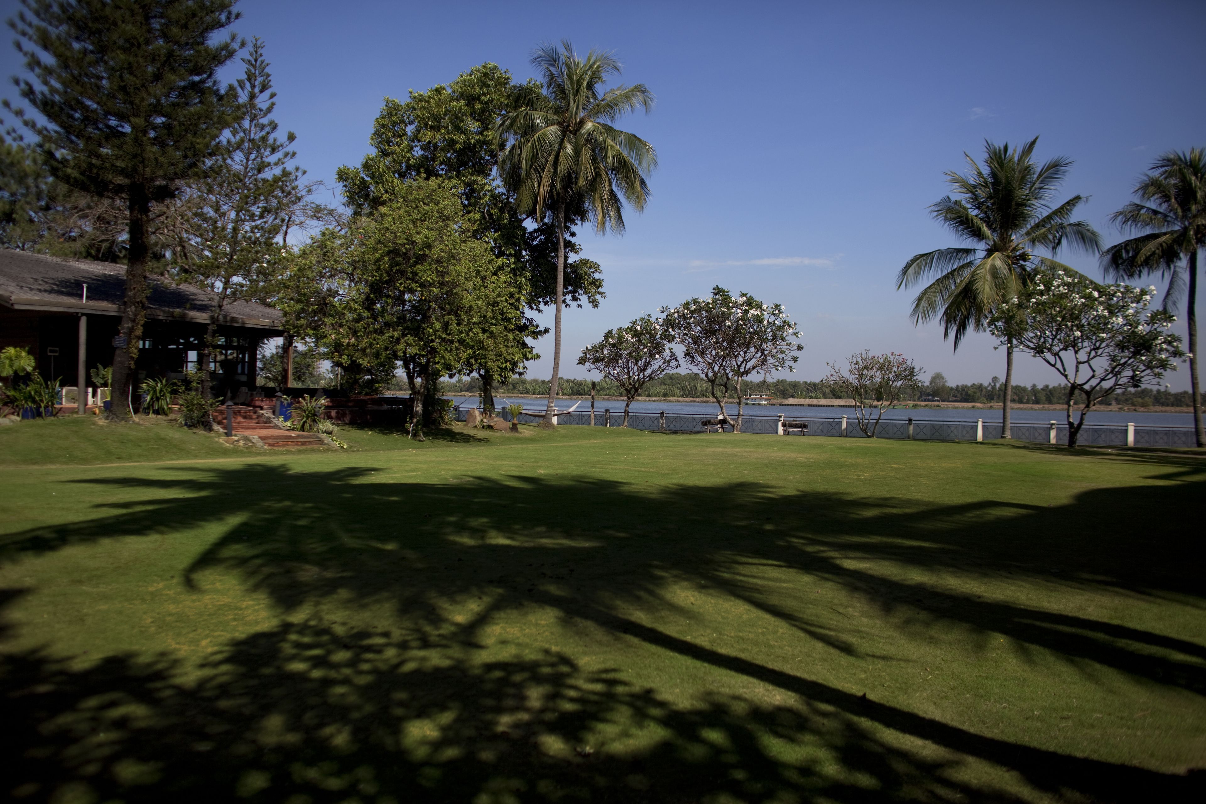 A grassy area with palm trees and a building with a sloped roof.