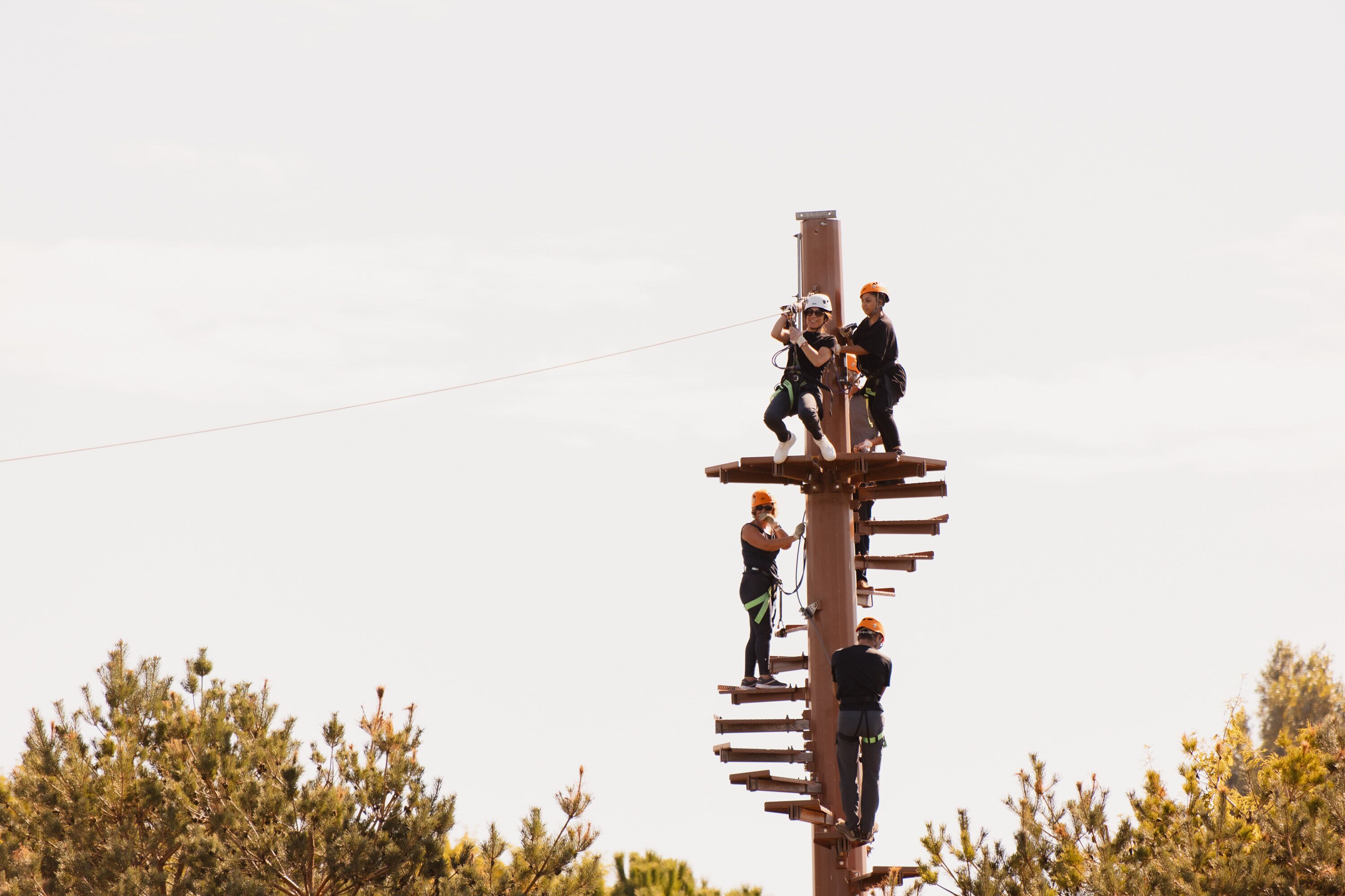 A group of people engaged in an outdoor activity involving a tall wooden structure with horizontal bars.