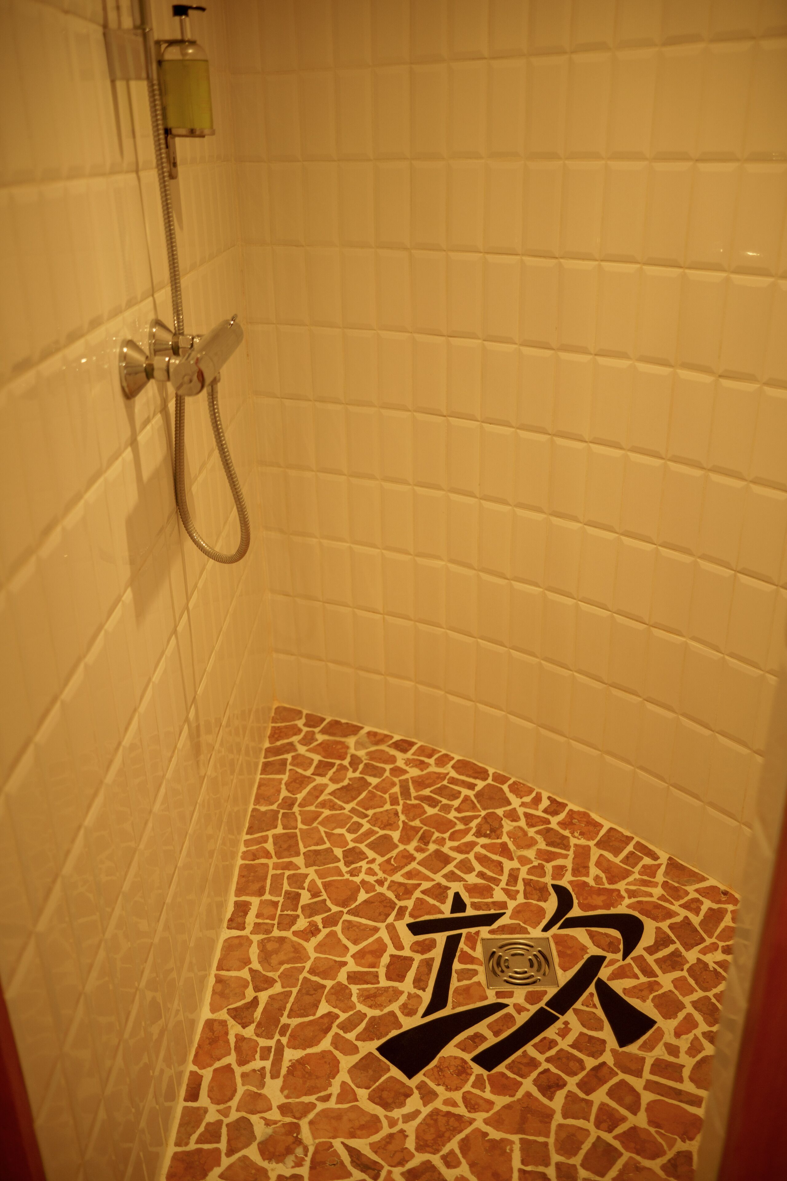 A shower with a tiled wall and a mosaic floor.