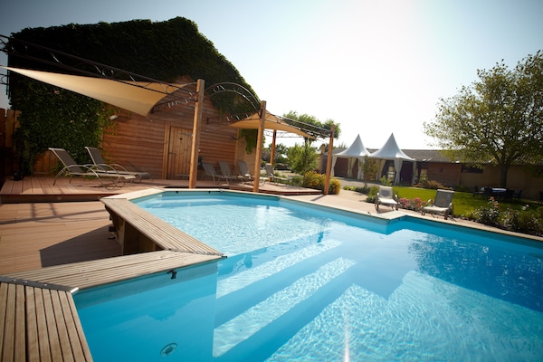 Outdoor pool, sun loungers