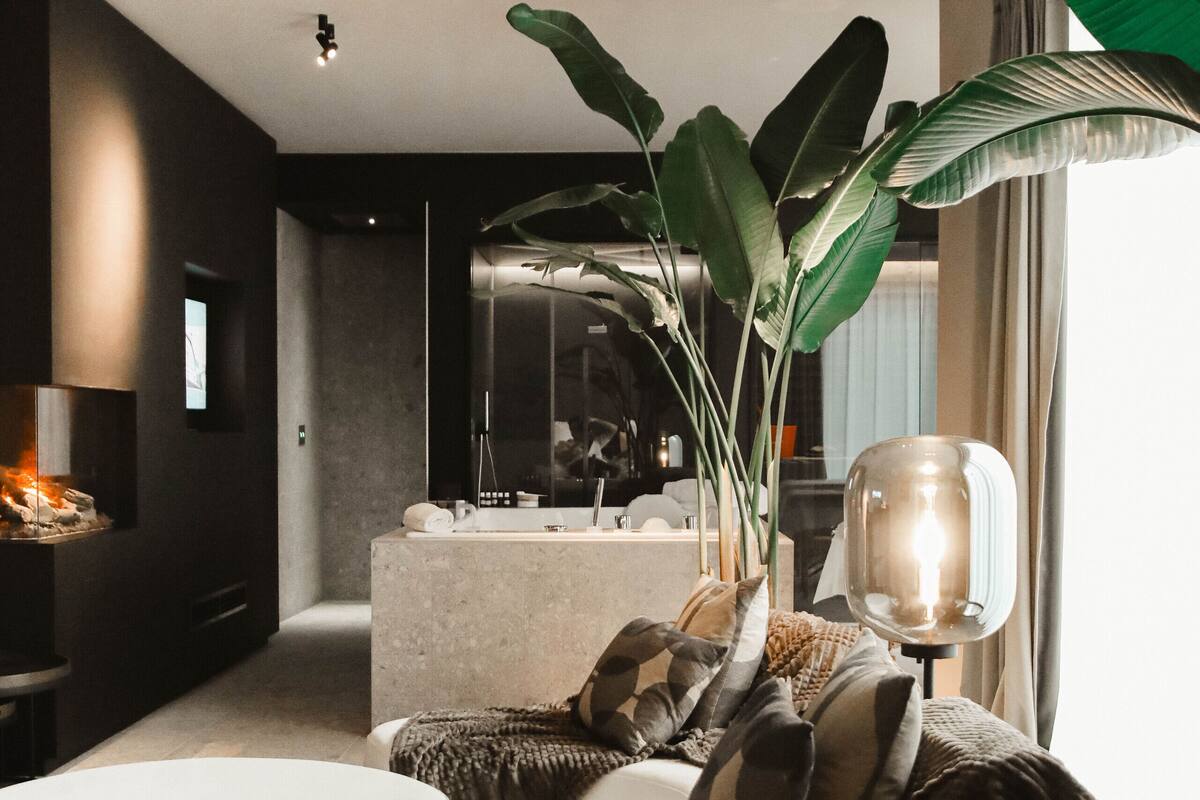 A modern living room with a sofa, a coffee table, and a large plant.