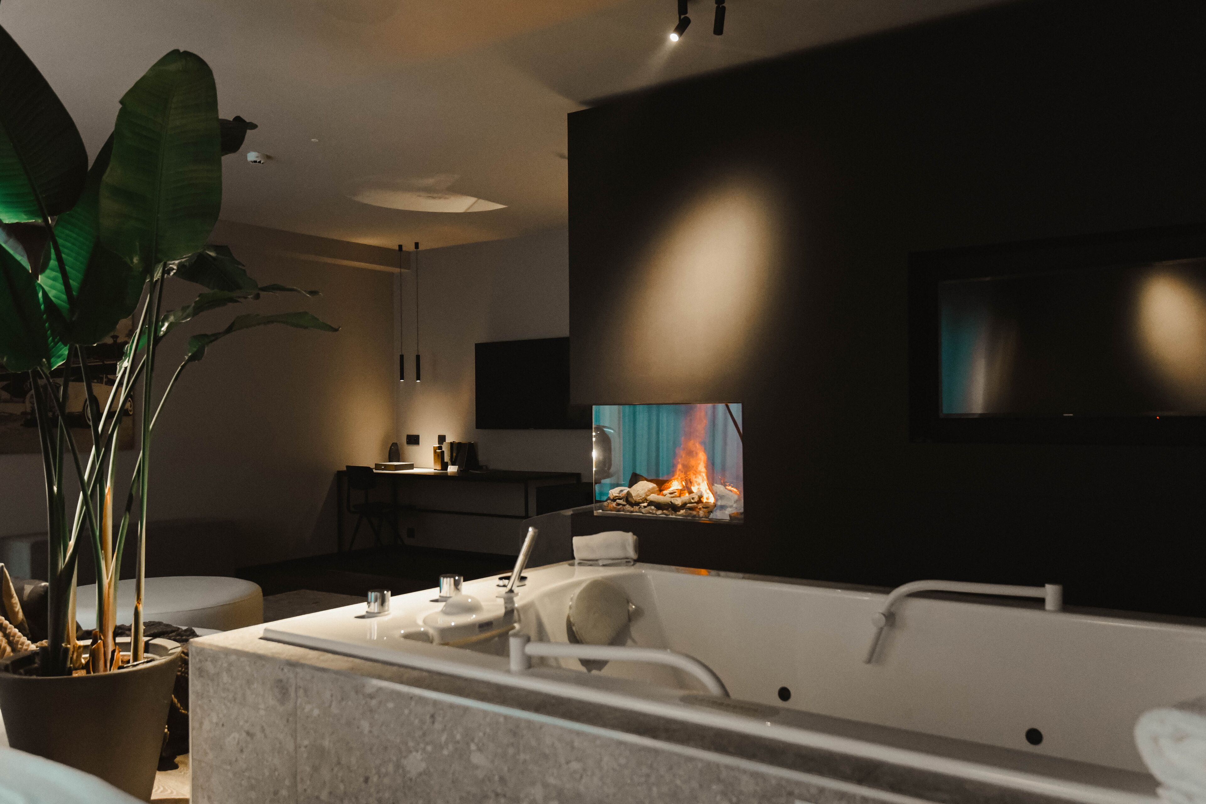 Luxury Suite