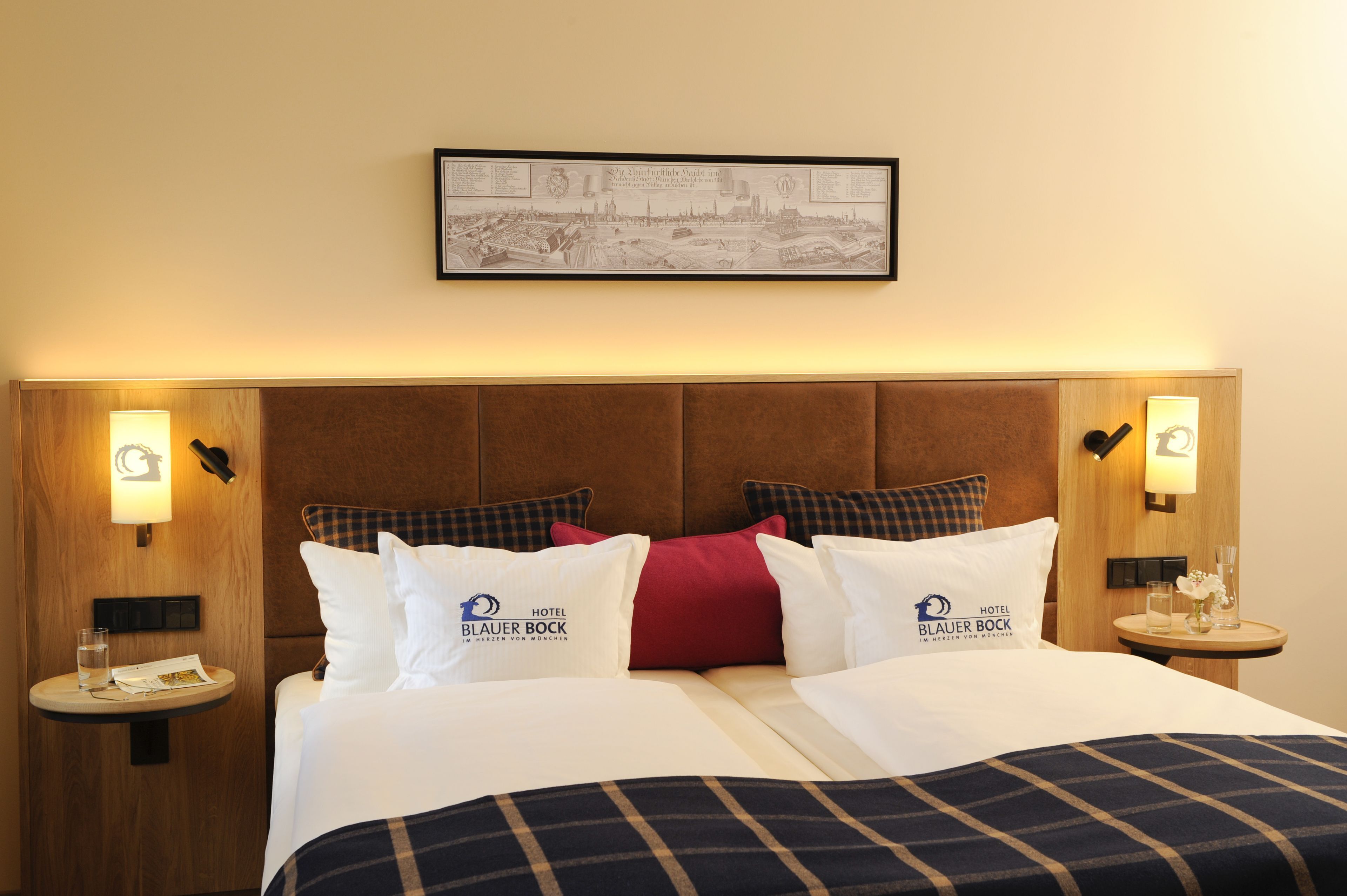 Hypo-allergenic bedding, down comforters, individually decorated