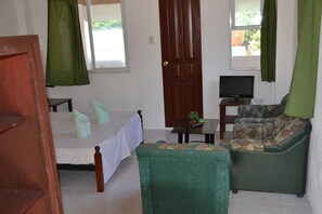 A room with a bed, a sofa, a television, and a door.