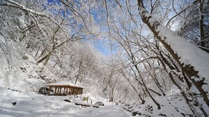 Bosque nevado con un quiosco de madera.