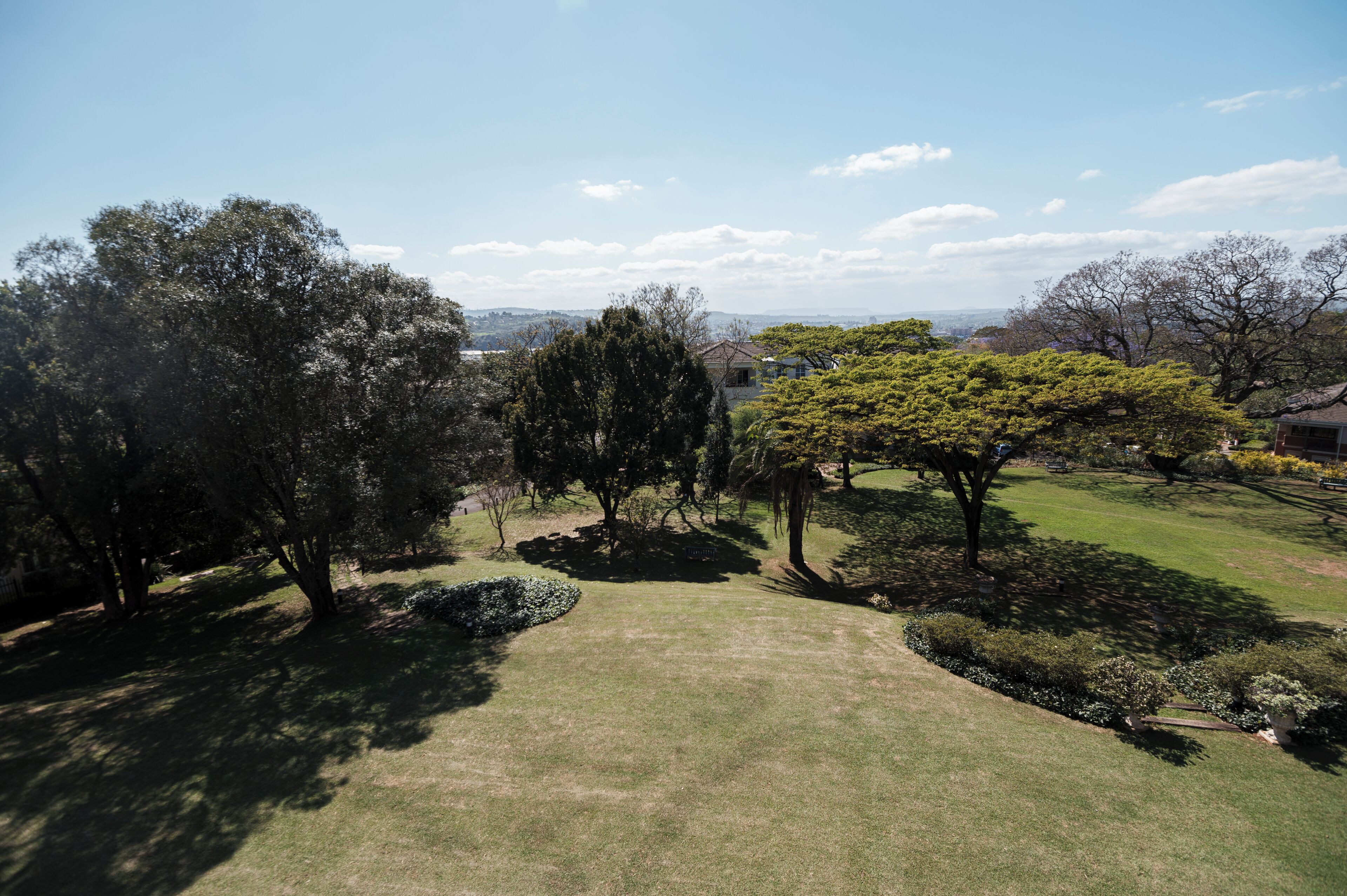 deluxe suite, 1 bedroom | park view