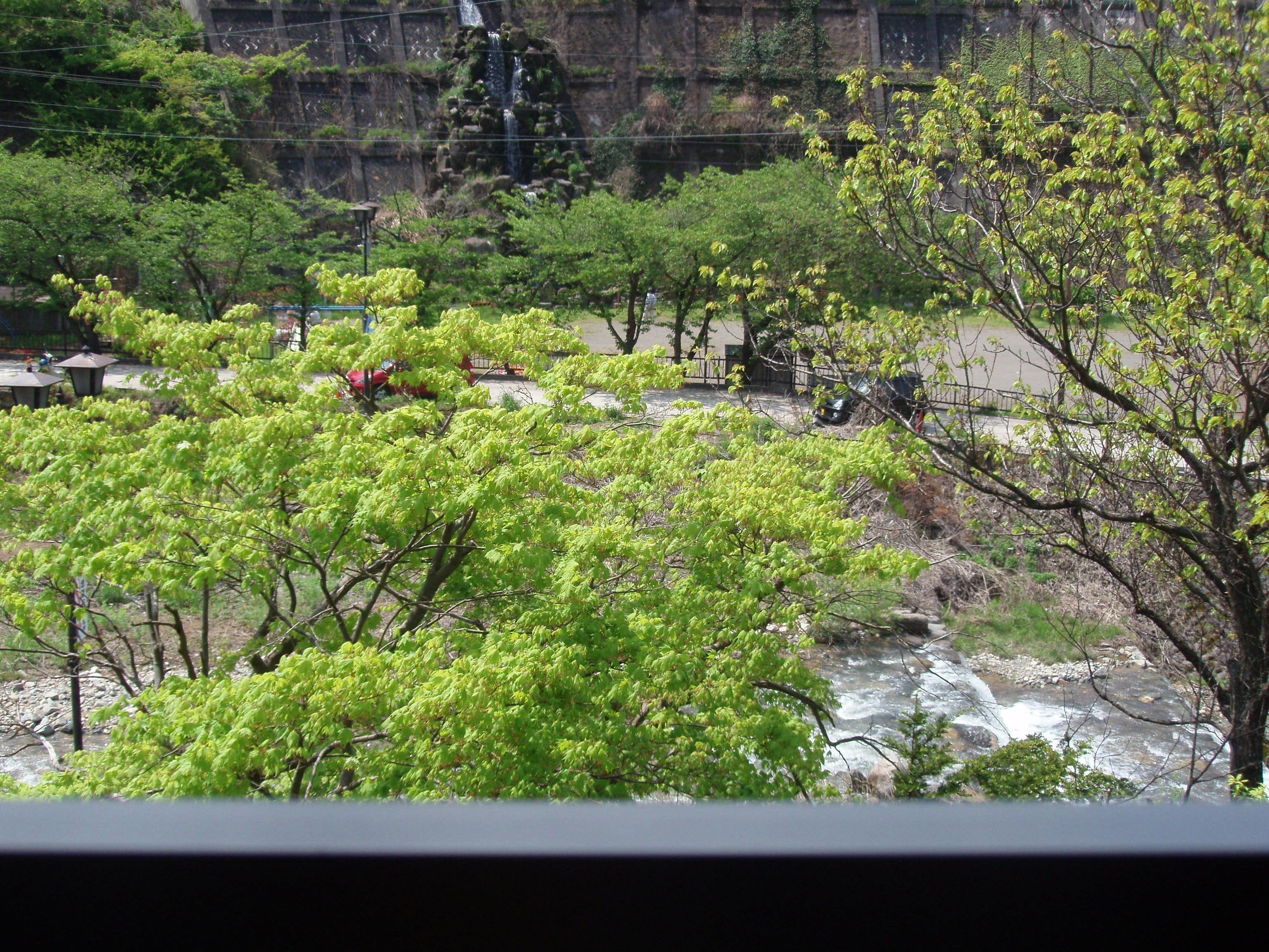 Blick auf einen Fluss mit Bäumen und einer felsigen Klippe im Hintergrund.