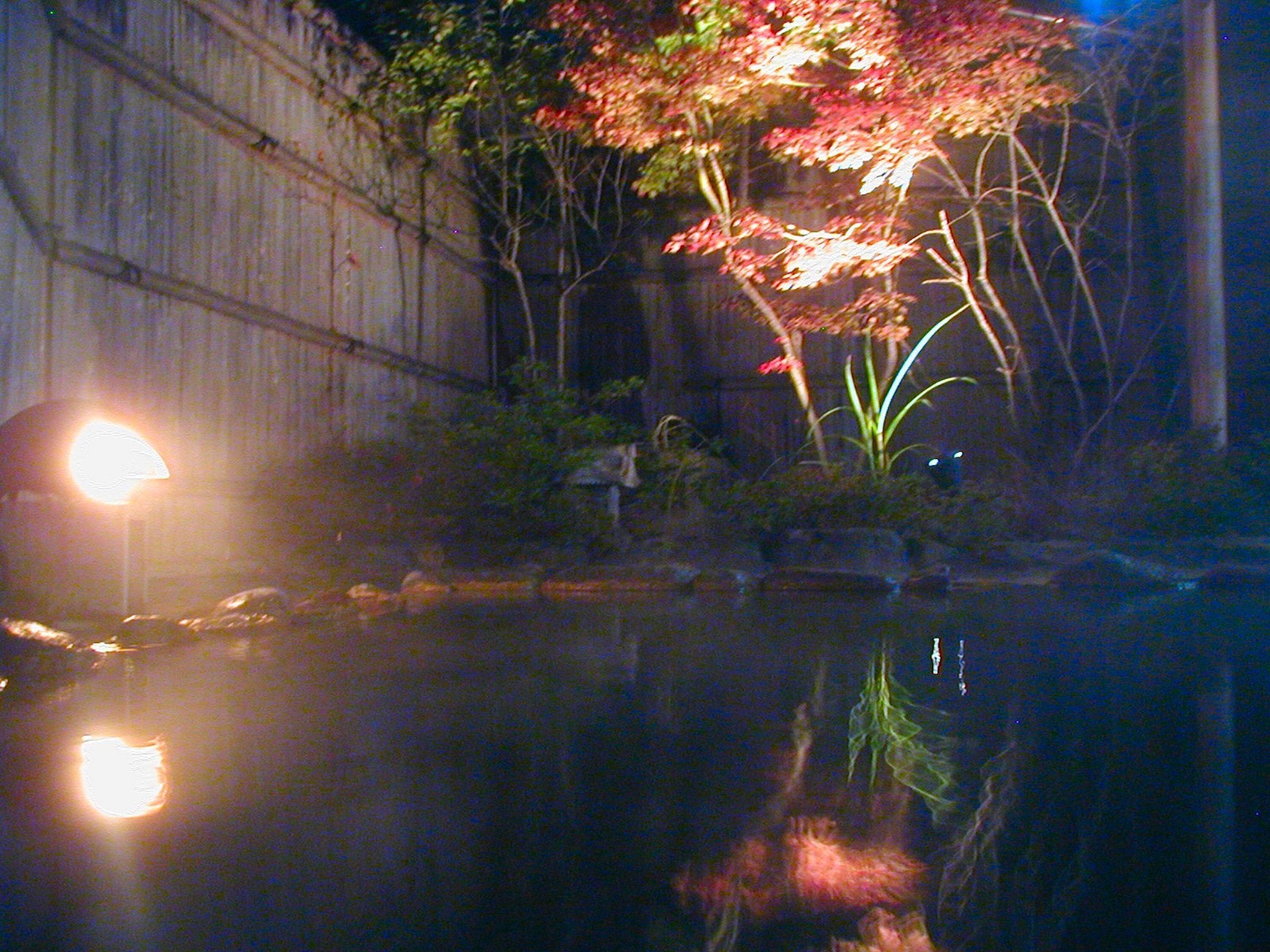 A nighttime view of a pond with reflections, surrounded by trees and a building.