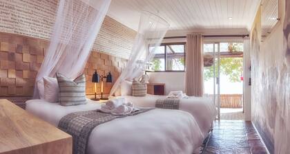 LIONSROCK Big Cat Sanctuary