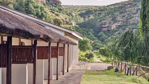 A building with a thatched roof and a paved walkway leading to a grassy area with trees.