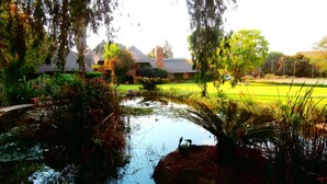 Un jardín tranquilo con un estanque, abundante vegetación y un edificio con techo de paja.