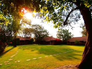 Jardín