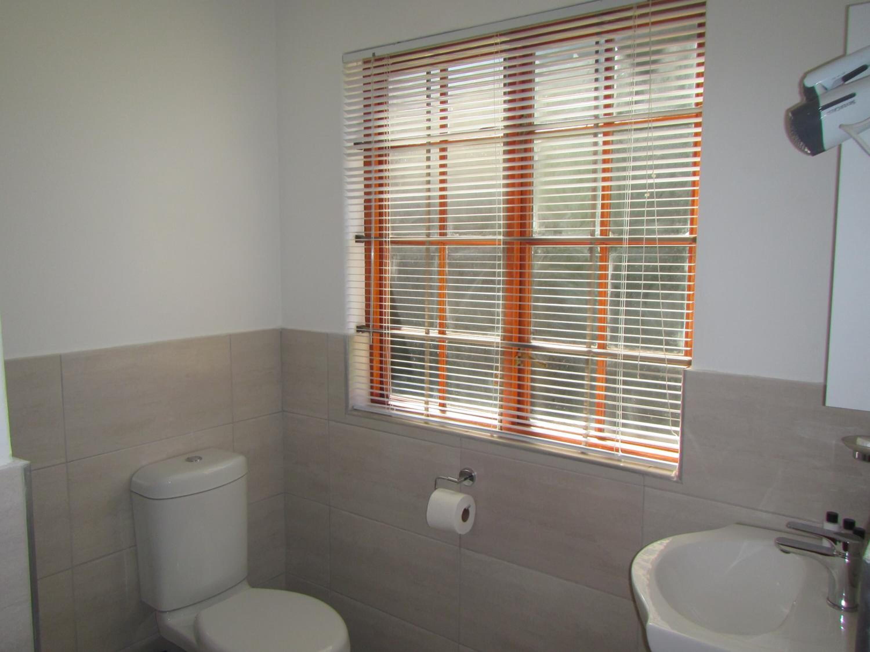 A bathroom with a toilet, sink, and window with blinds.