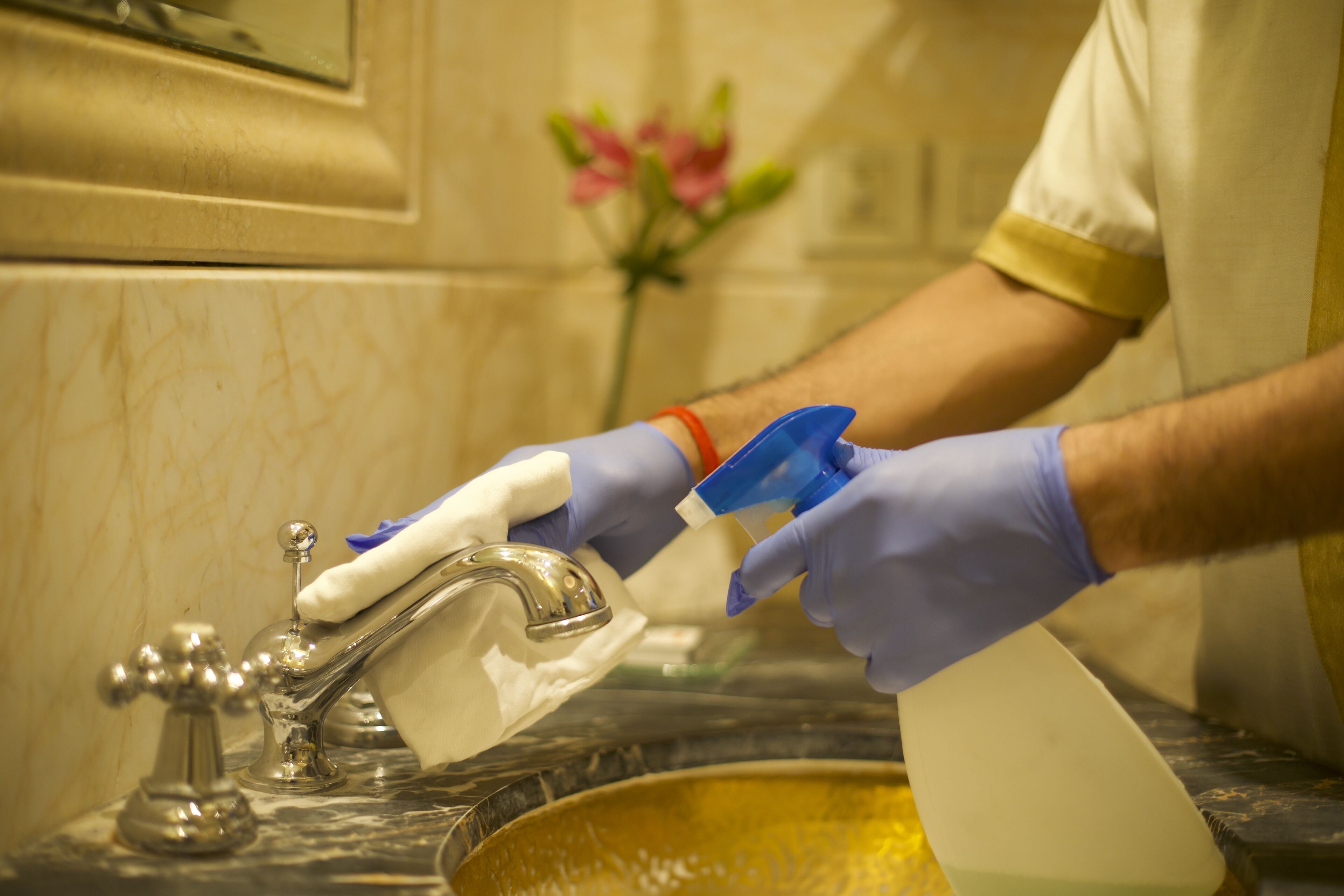 cleanliness standards