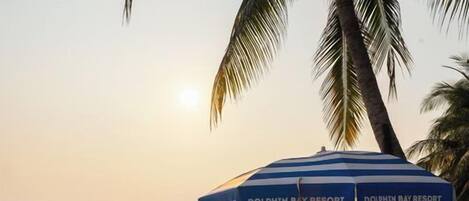 Una playa con sillas de descanso y sombrillas, identificada como "Dolphin Bay Resort".