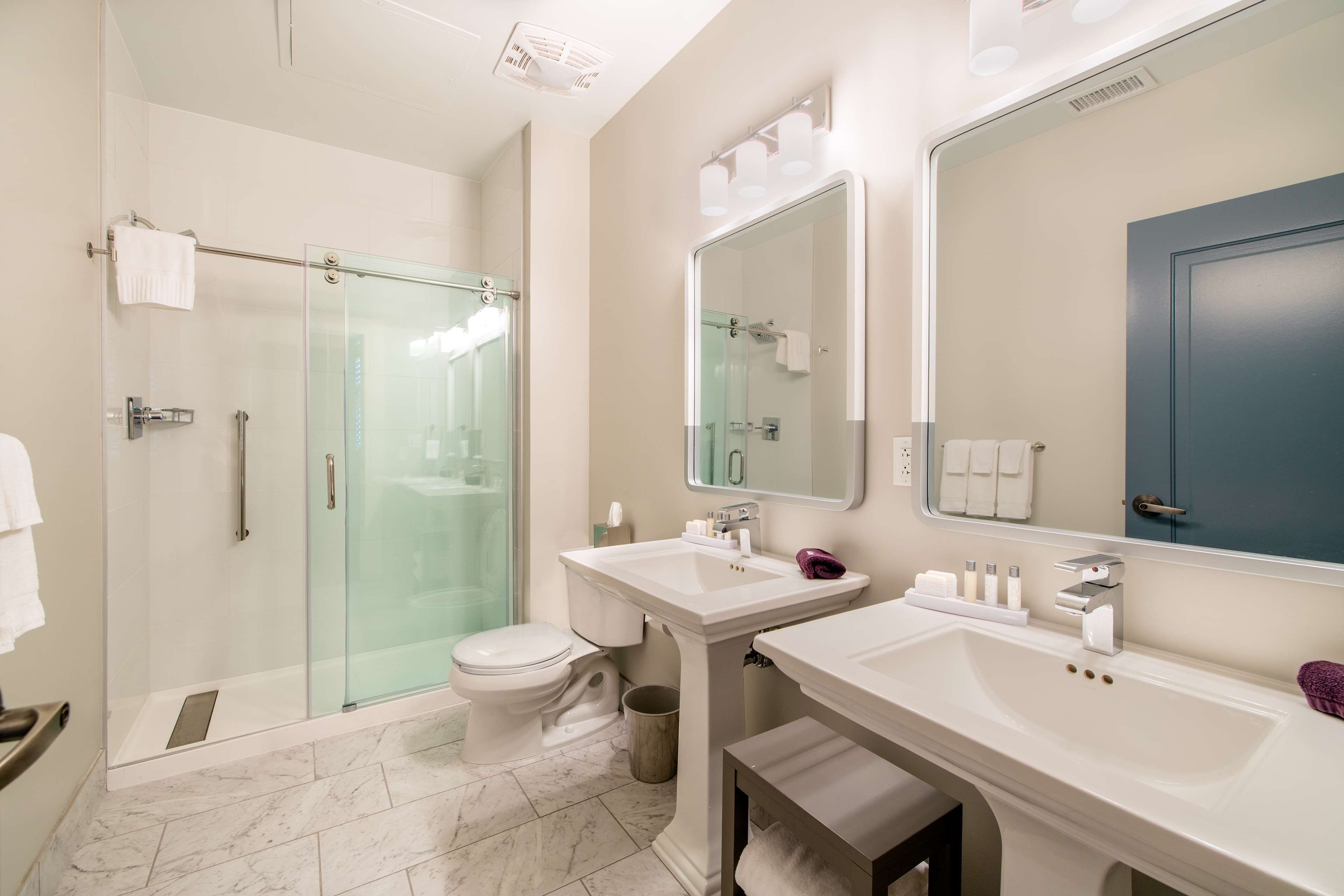 suite, 2 bedrooms (penthouse) | bathroom shower