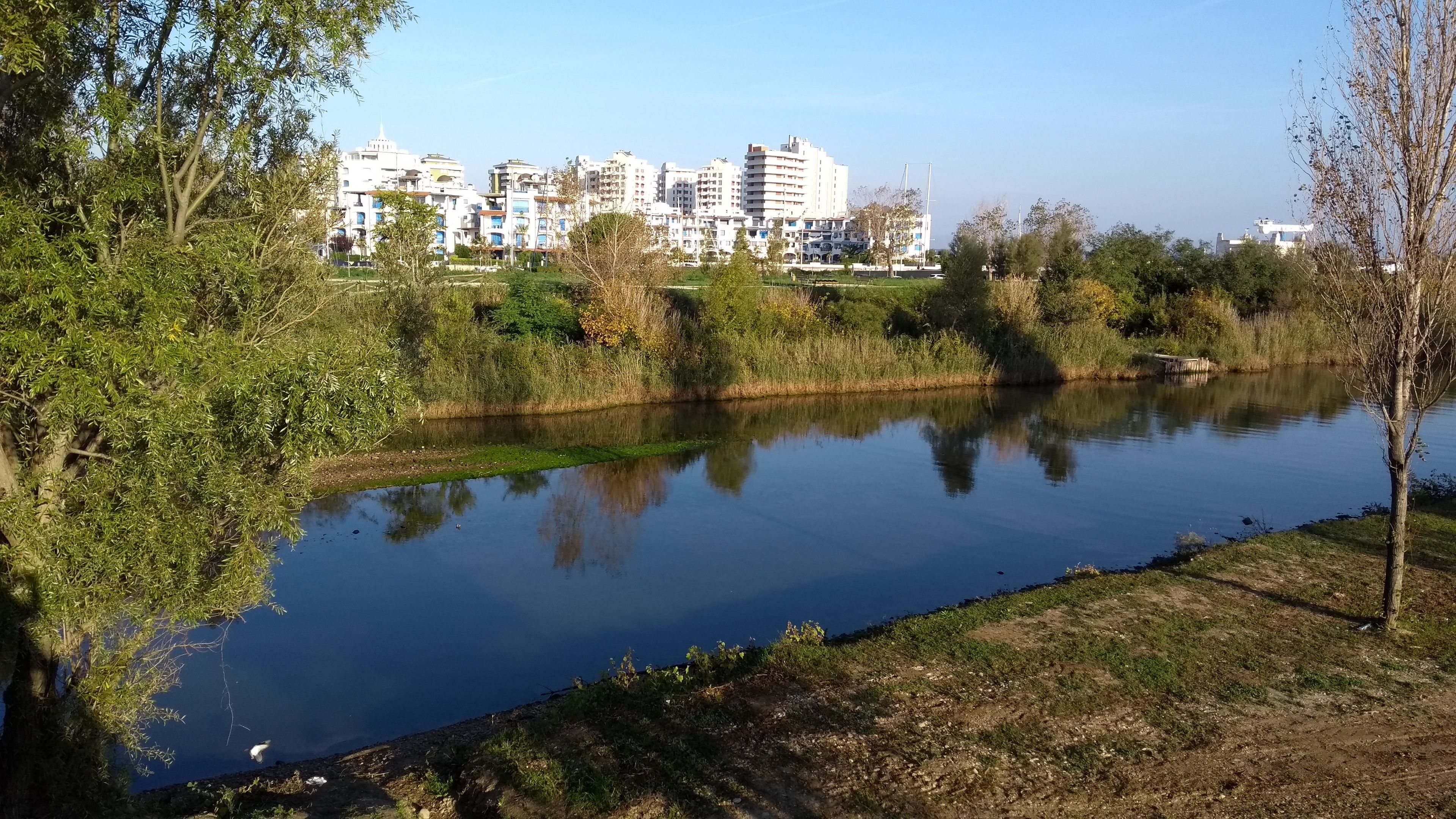 A calm river with a reflection of buildings in the background.