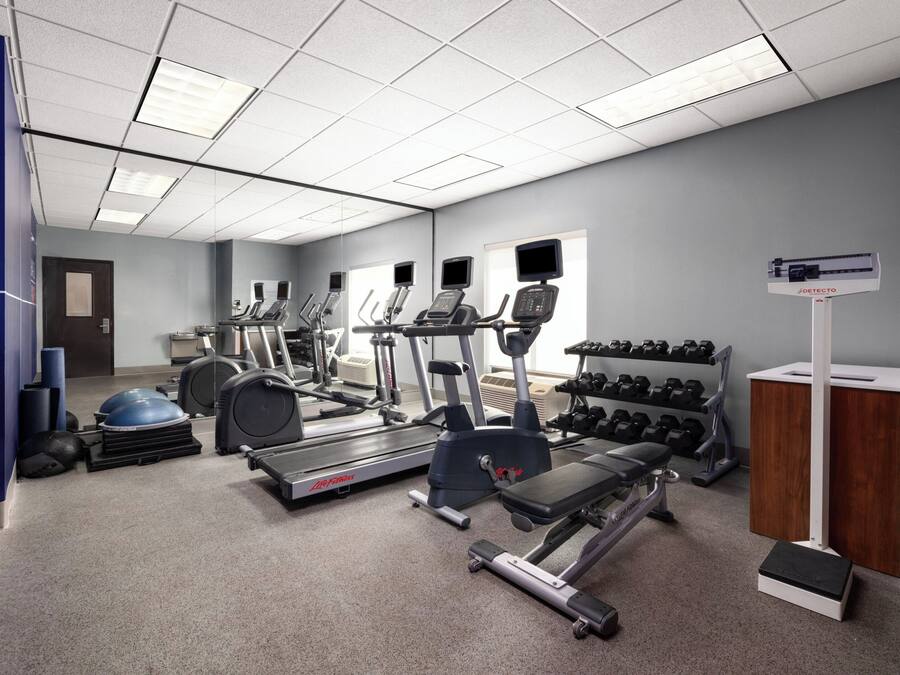 A gym with treadmills, elliptical machines, free weights, and a step platform.