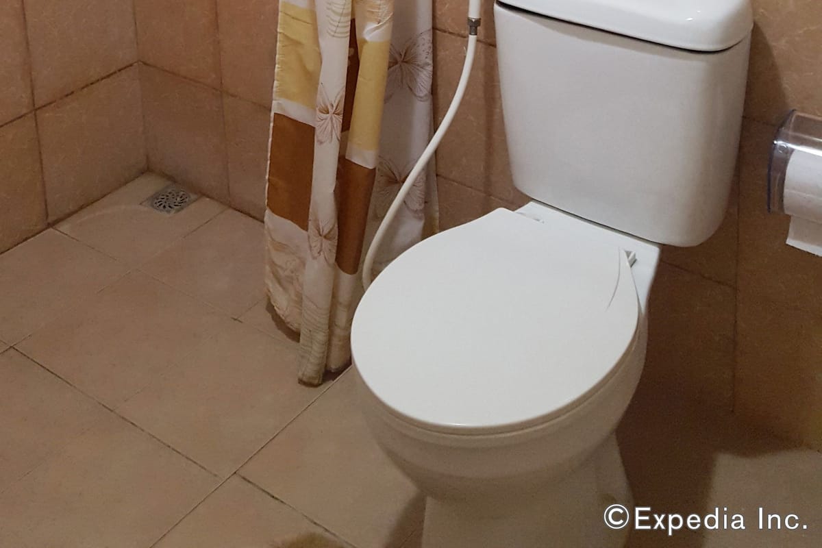 shower, free toiletries, hair dryer, slippers