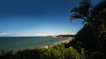 Une plage avec un ciel dégagé, un palmier et une vue sur l’océan.