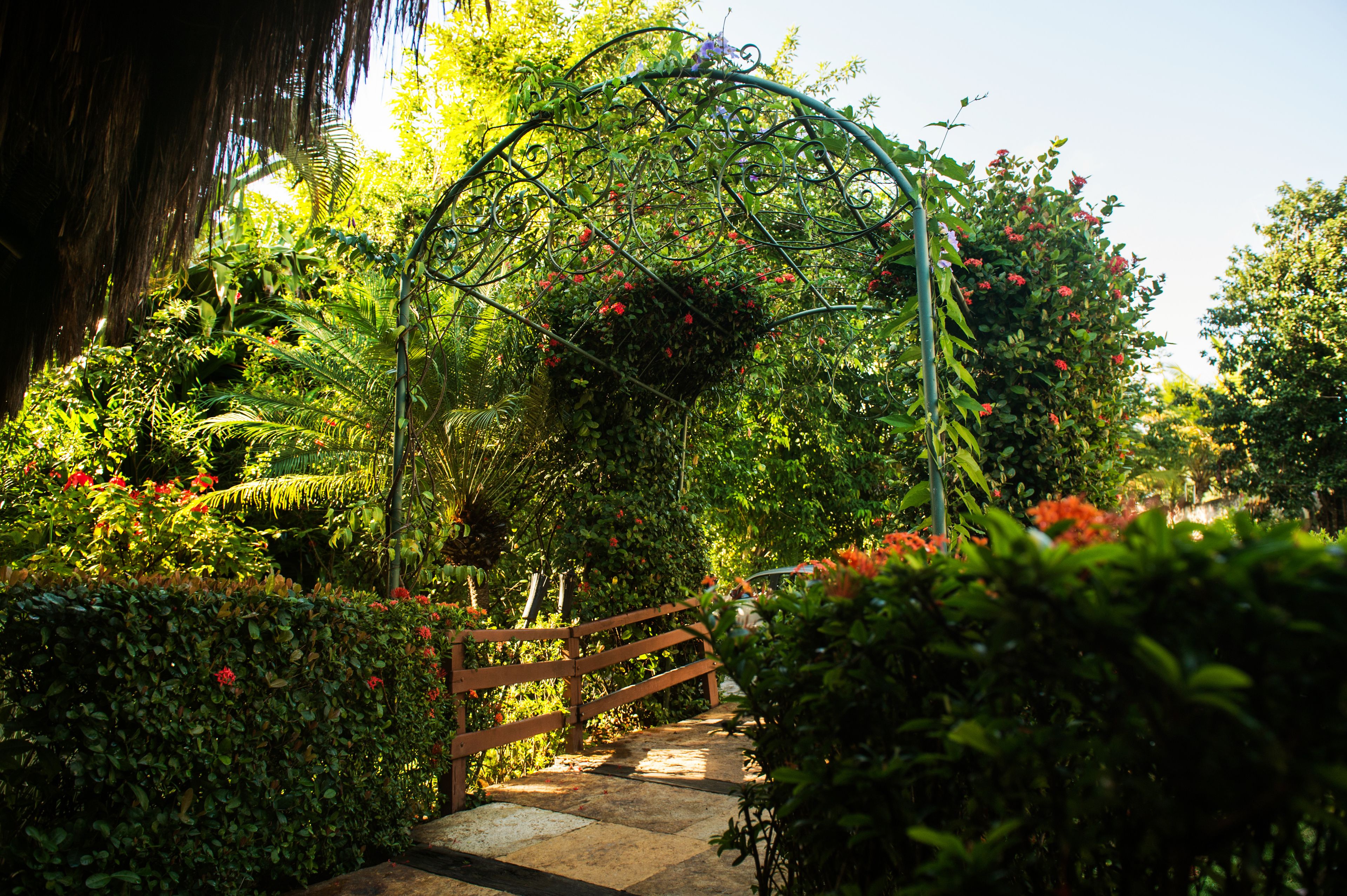 A garden pathway with a wooden fence, surrounded by lush greenery and flowering plants.