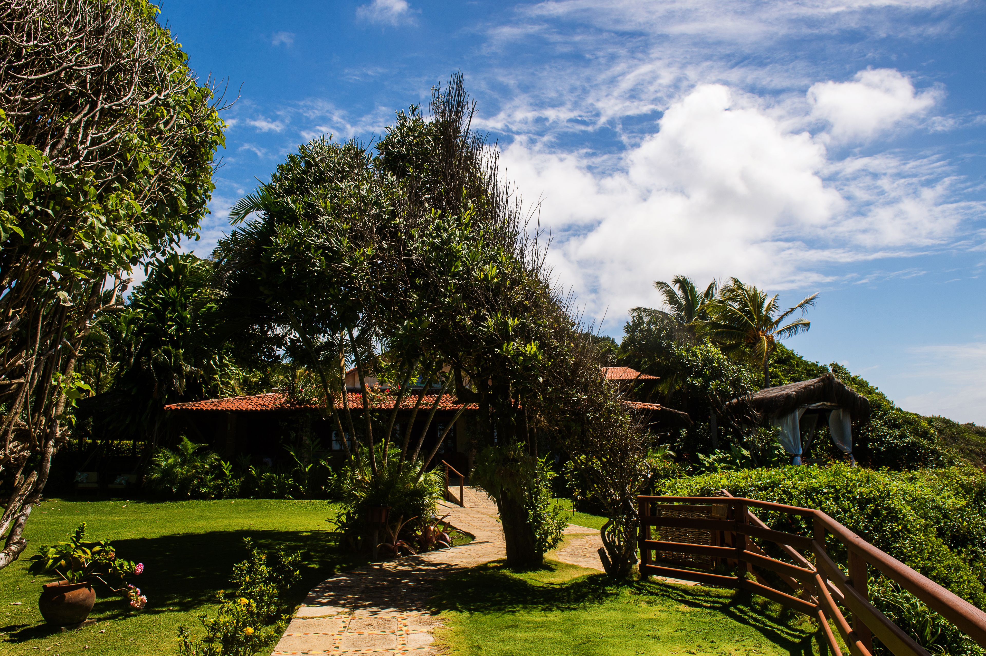 A lush garden with a stone pathway leading to a house with a red-tiled roof.