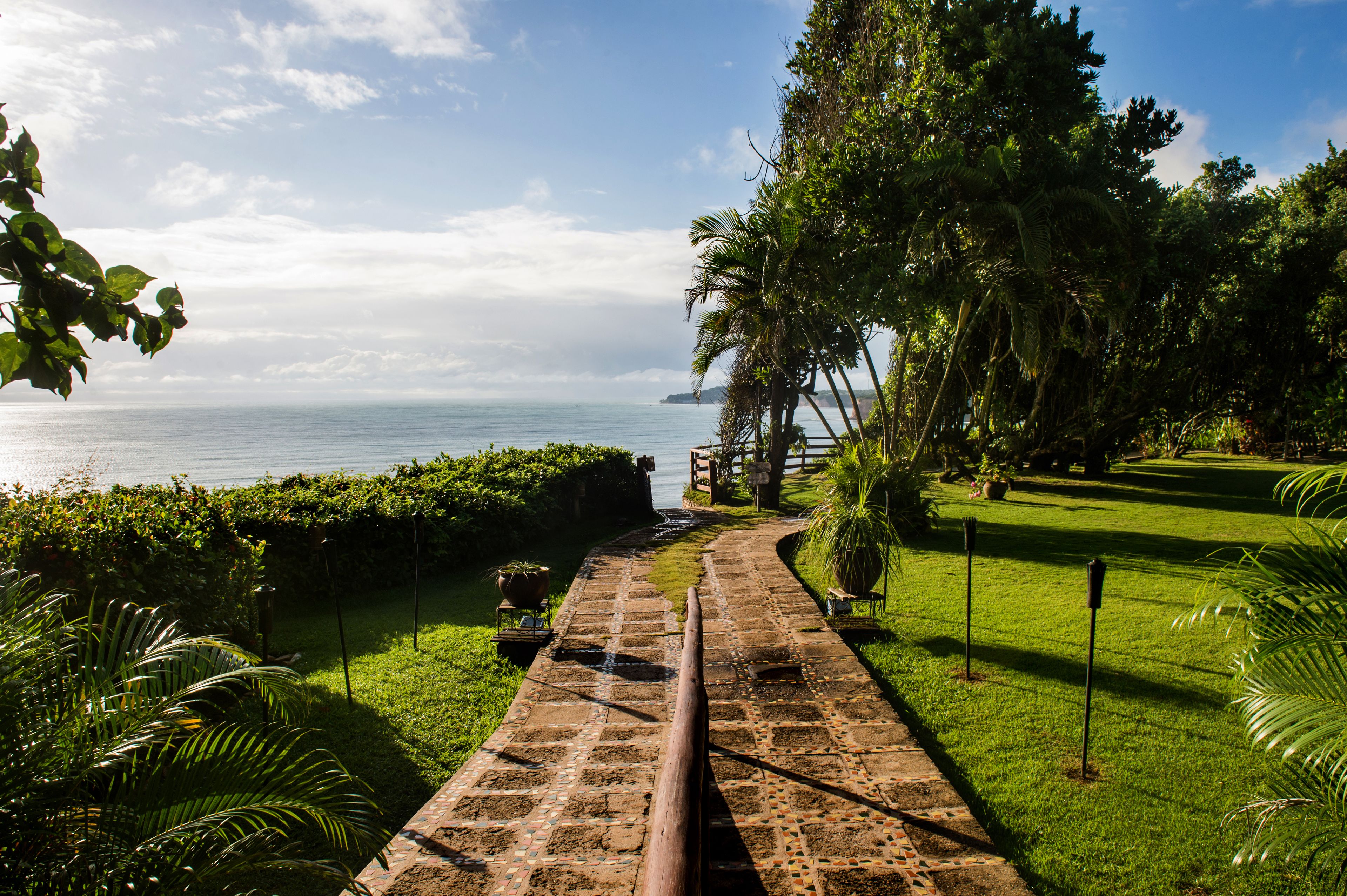 A paved pathway leading to a body of water, surrounded by lush greenery and palm trees.