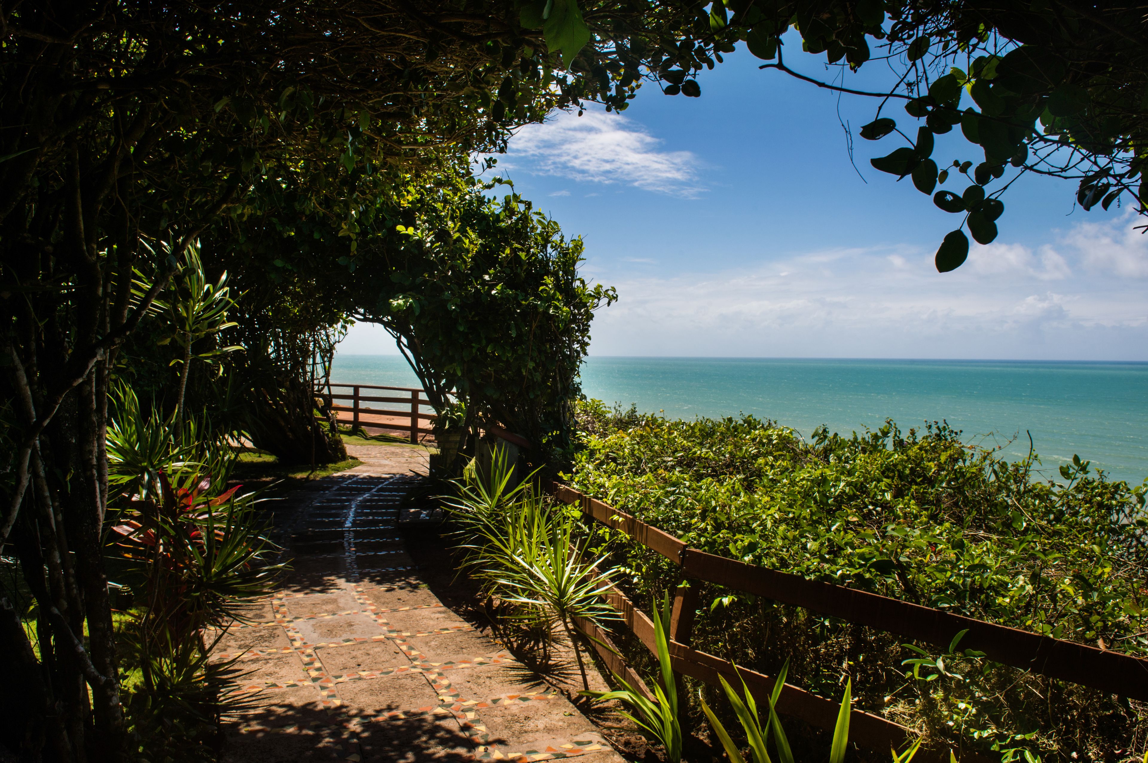 Arena blanca, bar en la playa
