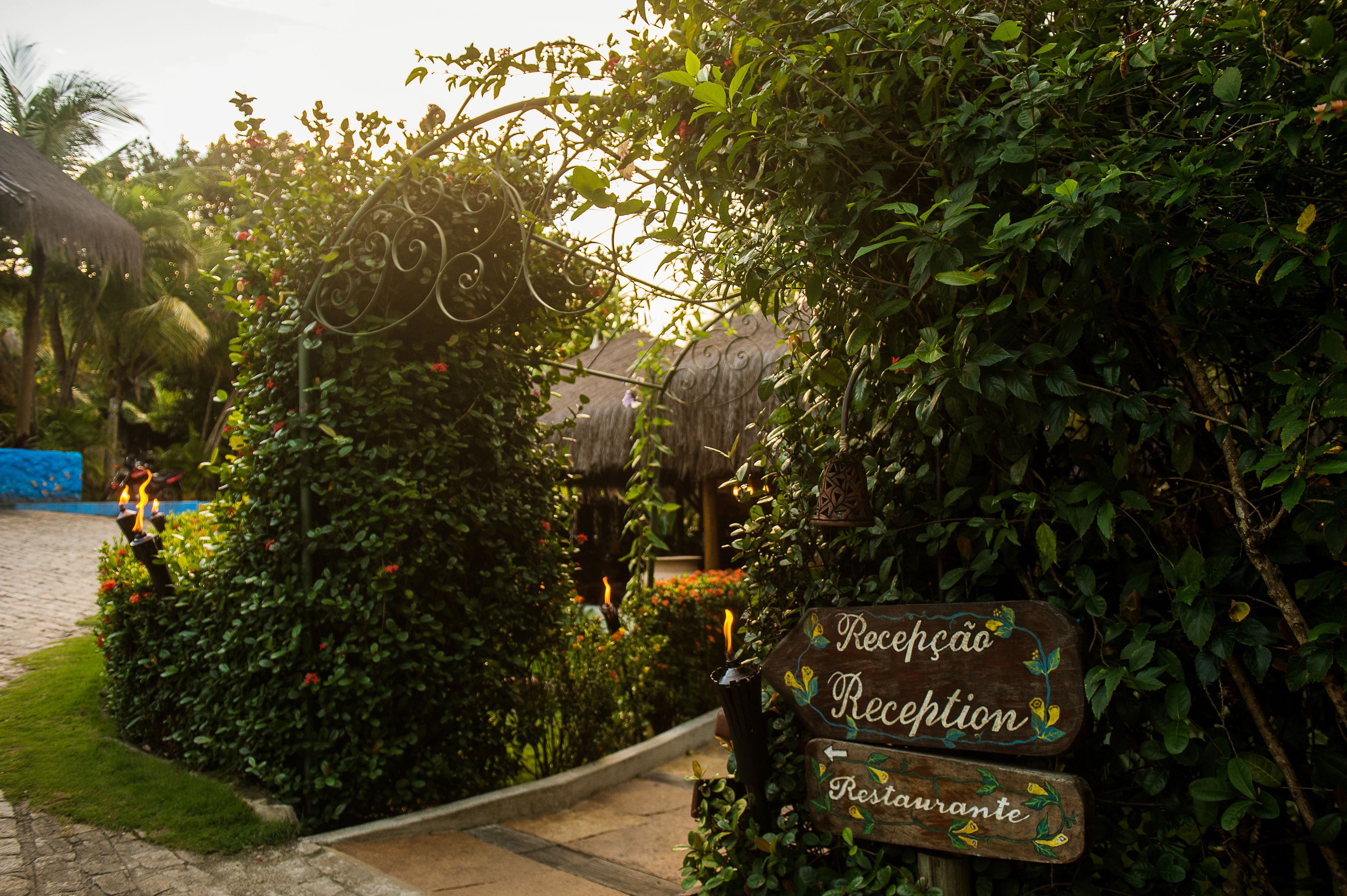 A reception sign surrounded by lush greenery and a thatched structure in the background.