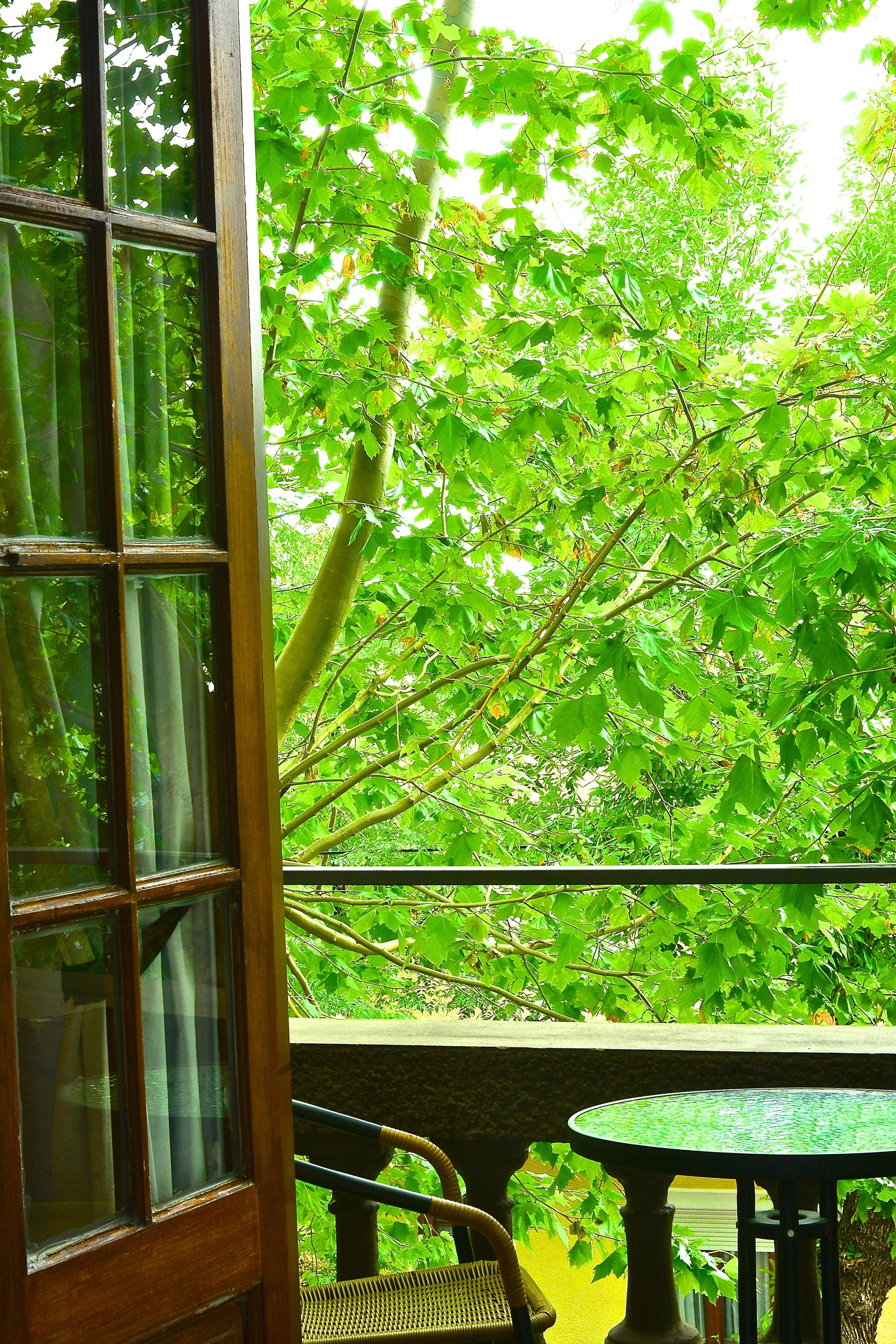 Ropa de cama de alta calidad y cubrecamas 