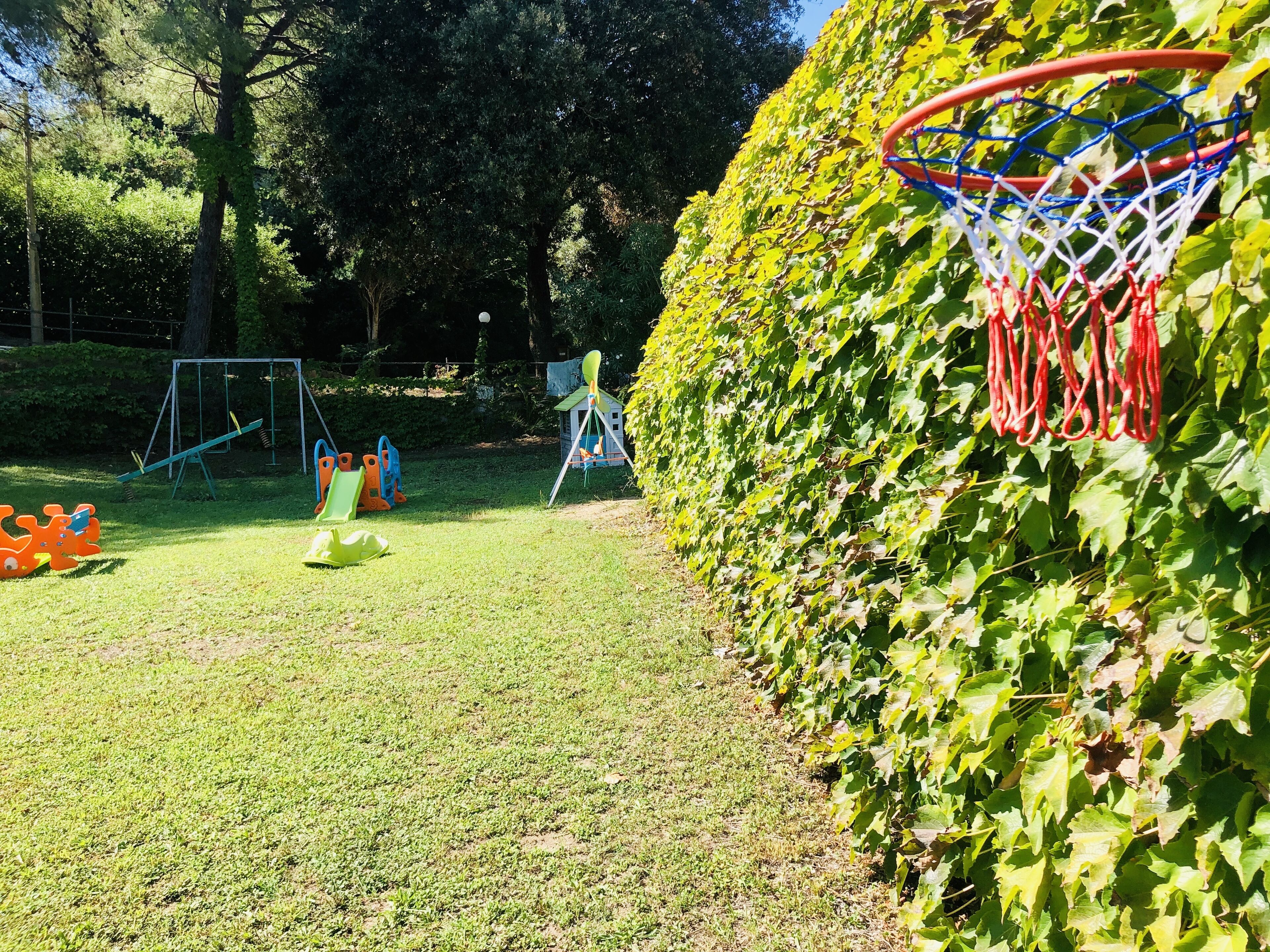 Basketballbane