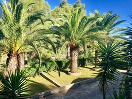 Jardín
