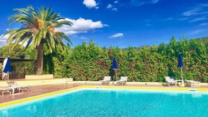 Una piscina azul clara con sillas de descanso y sombrillas, rodeada de vegetación exuberante y una palmera.
