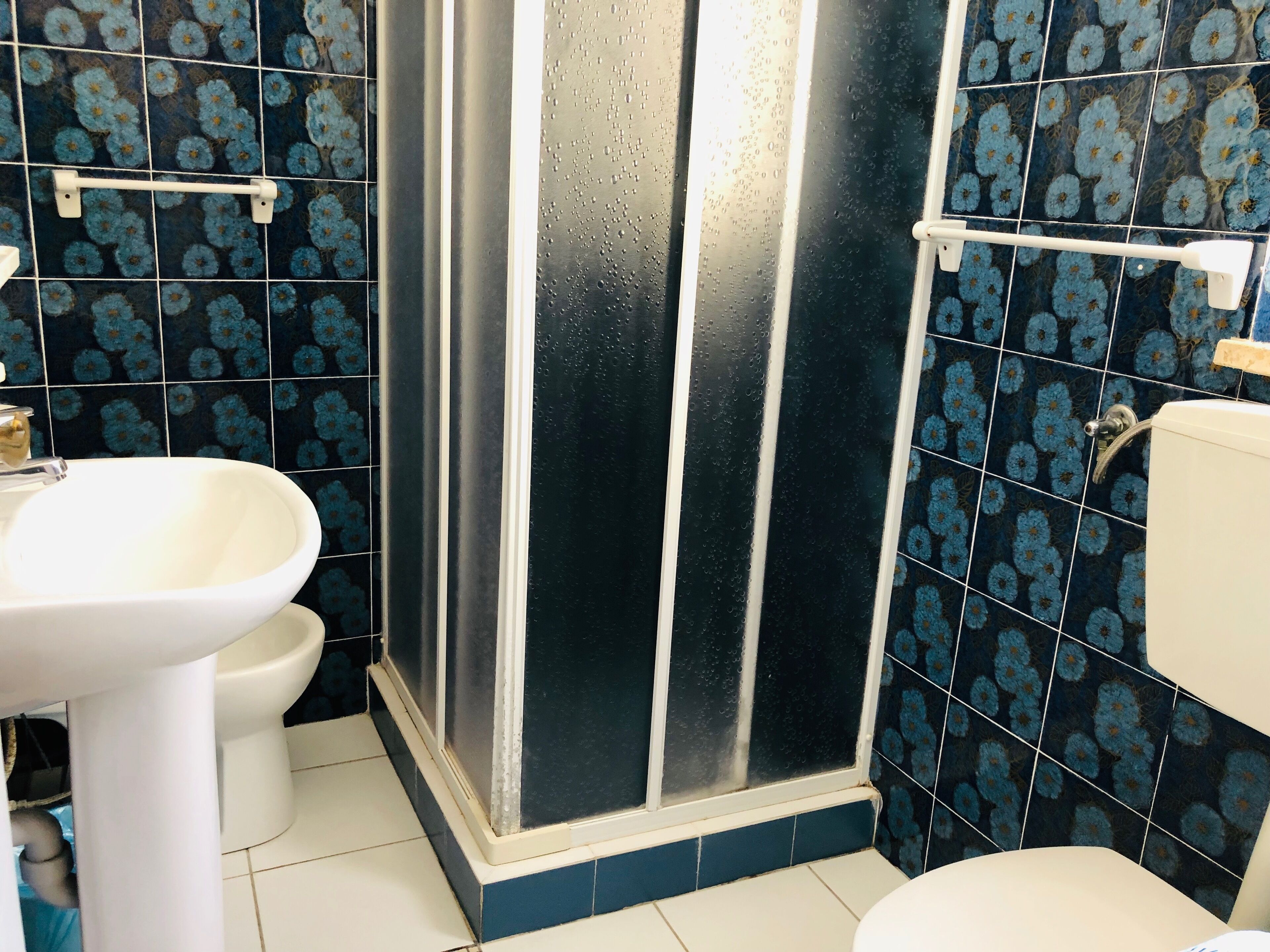 Une salle de bain avec douche, toilettes et lavabo.