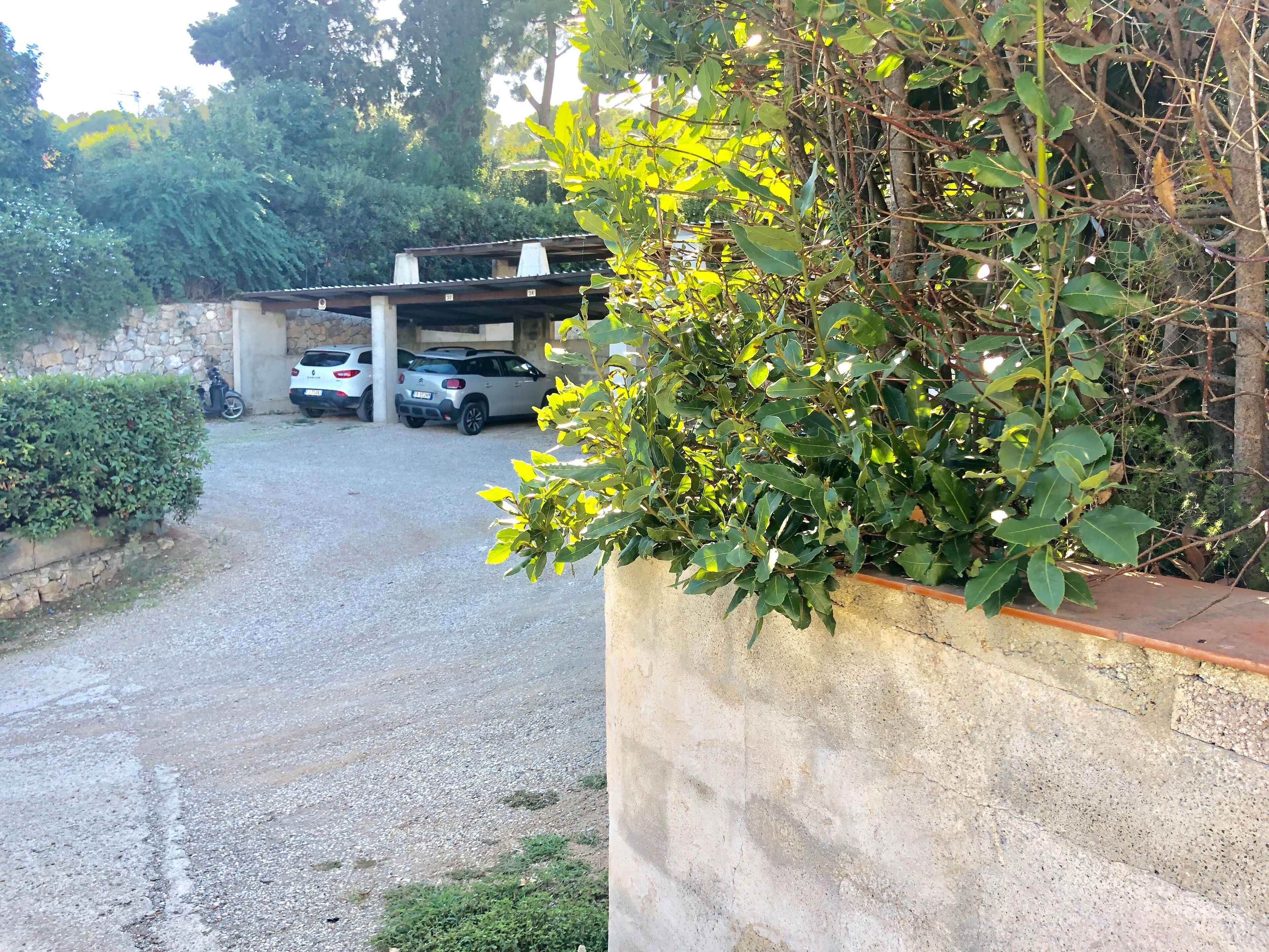 A gravel driveway leading to a parking area with cars and a covered structure.