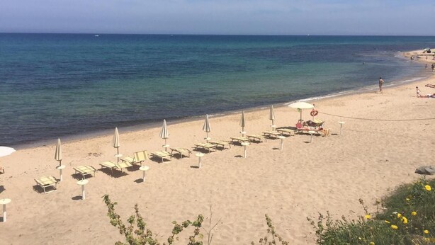 A beach with rows of sun loungers and umbrellas, a clear sky, and calm sea. - Hotel Castelsardo Domus Beach (Castelsardo)