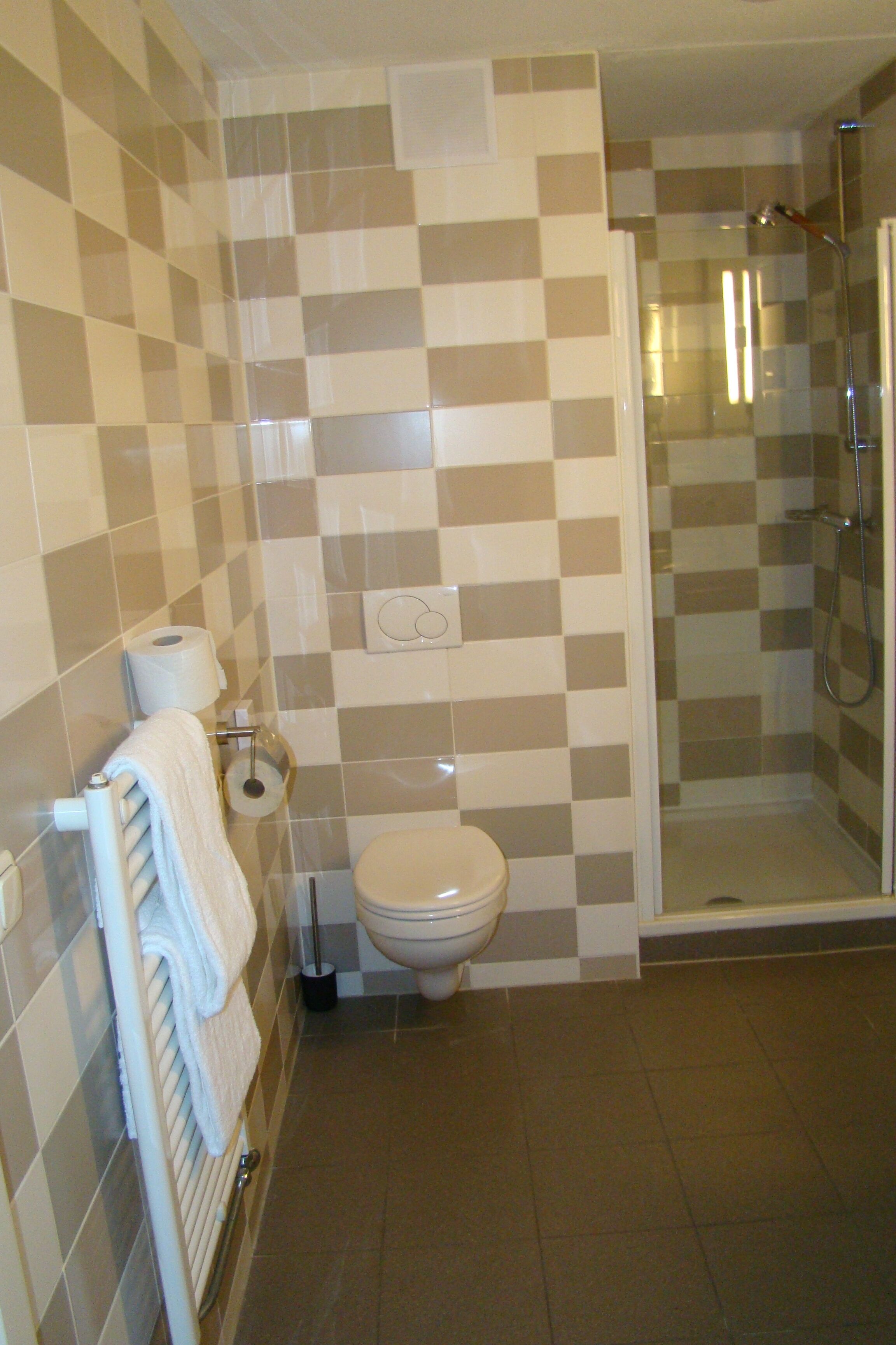 A bathroom with a checkered tile wall, a toilet, a towel rack, and a glass-enclosed shower area.