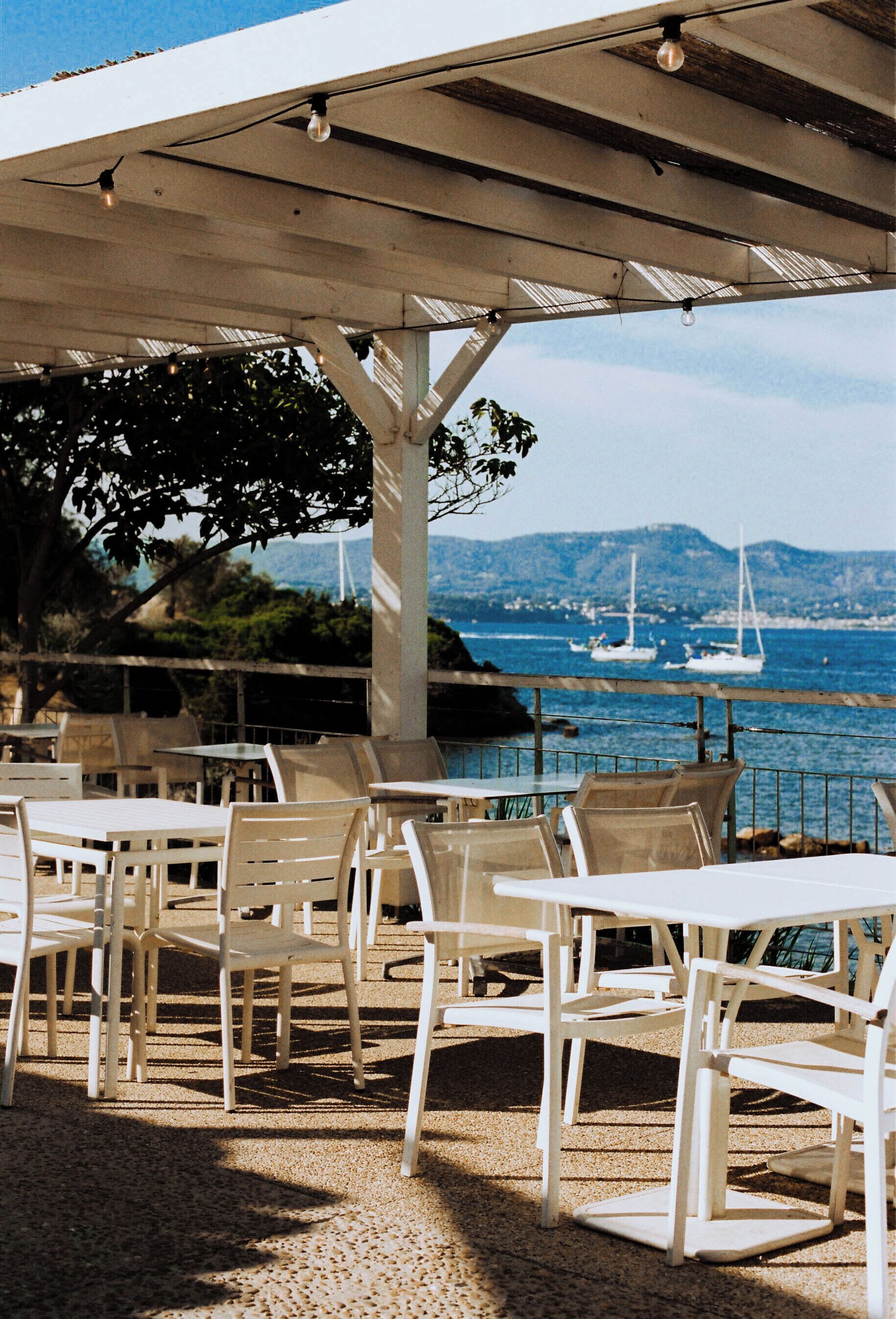 Dinner served, local cuisine