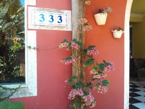 Detalle del exterior
