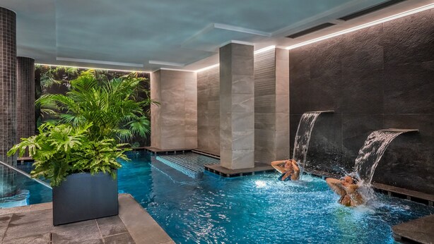 A modern indoor pool with clear water, surrounded by stone walls and a large potted plant. - Botania Relais & Spa - The Leading Hotels of the World. (Forio)